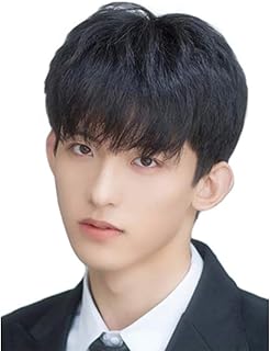 ウィッグ メンズ 人毛 ショート ストレート 短髪 人気 かつら 男性 カツラ うぃっぐ 手植え ネット付き フリーサイズ wig 自然 通気性(ブラック,機織り)