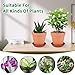 Tuqaumu 6 Pack 6 Inch Terracotta & Clay Pots with Saucer for Plants, Large Terra Cotta Plant Pot with Drainage Hole, Flowerpot for Indoor Outdoor Plants, Crafts, Wedding Favor