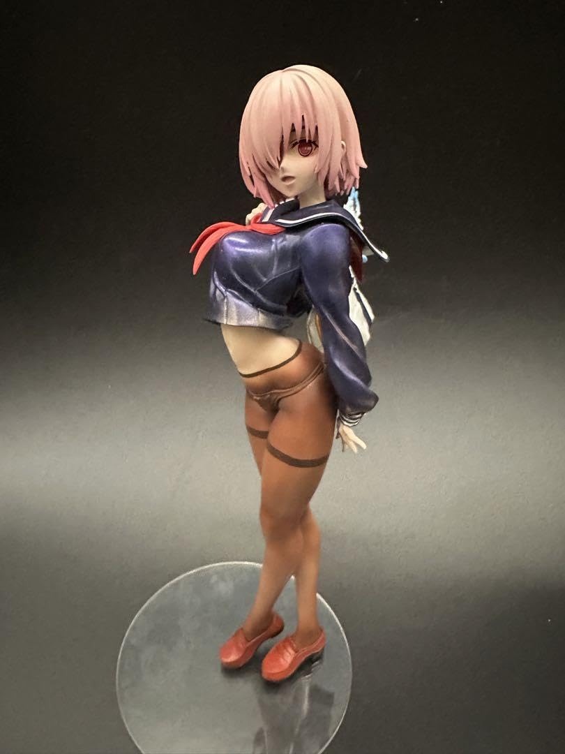 塗装済完成品セット　FGO ガレージキット Amazon | FGO マシュ キリエライト 制服 塗装済み完成品