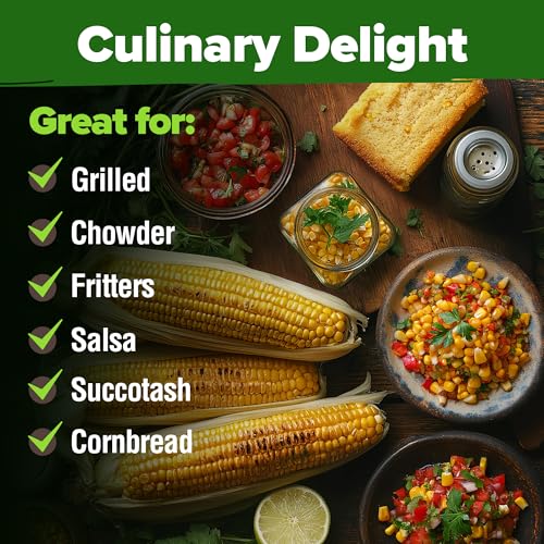 Image of HOME GROWN Golden Bantam Sweet Corn Seeds 200+ Heirloom Non-GMO Seeds for Planting, High Germination, Yellow Kernel Corn on the Cob, Early Summer Harvest, Easy to Grow Home Garden Crop (Zea mays)