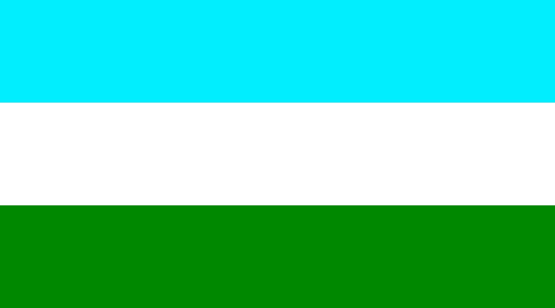 Drapeau de Vásquez de Coronado grand format BanderaCanton