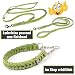 CopcoPet Fettleder Halsband 40–45cm x 20mm Apfelgrün – Geflochten mit Zugstopp-Kette – Robust & weich – Verchromte Kette – Lederhalsband für mittelgroße Hunde, Training & Alltag