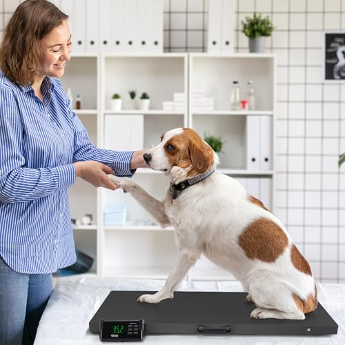 TUFFIOM 1100Lbs x 0.2Lbs Postal Digital Shipping Livestock Scale, Electronic Stainless Steel Platform Heavy Duty Vet Animal Floor Scale,Dog Puppy Pig Goat Sheep Scale, Black