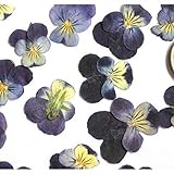 □□ HINWEIS: Da die getrockneten Blumen in einem Kasten verpackt und gequetscht, nachdem Sie sie für ein paar Tage in Anspruch nehmen, werden sie weich werden und fluffy.If Sie Fragen zu unseren Produkten haben, zögern Sie nicht uns zu kontaktieren, werden wirlösen das Problem für Sie, bis Sie zufrieden sind!