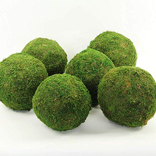Koyal Wholesale 6-Pack Green Moss Balls, 8-Inch