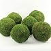 Koyal Wholesale 6-Pack Green Moss Balls, 8-Inch