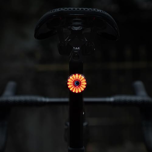Miniatura 7 de ROCKBROS Luz trasera para bicicleta, luz trasera con detección de freno inteligente, encendidoapagado automático, impermeable, recargable por USB