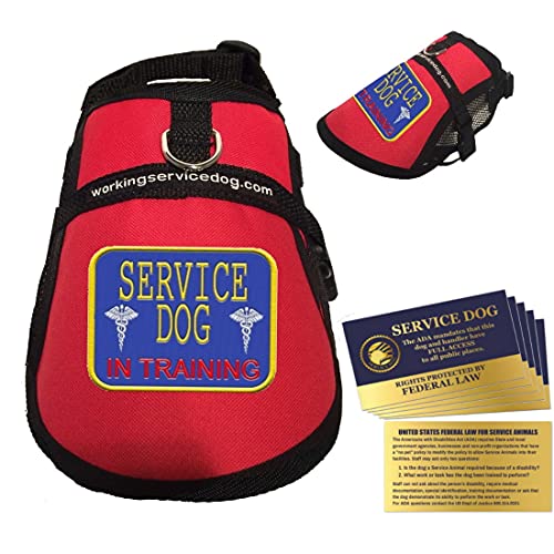 Service Dog in Training Vest - in Training Harness - Includes 5 Federal Law Cards (14-17