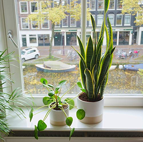 Kimisty Set 2 Ceramic Planters 7 & 6 Inch, White & Beige Handmade Large Plant Pots, Hand Painted With Gold Speckles Drainage & Plug, Modern Luxe Planters For Houseplants #TOP4