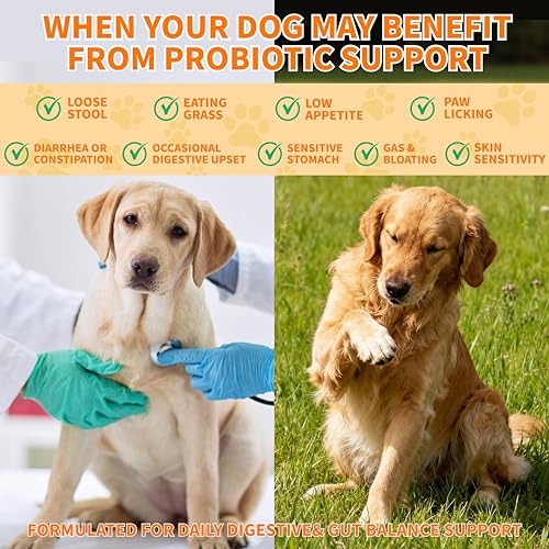 Probiotics for Dogs - 6 Digestive Probiotics & 6 Enzymes for Itchy Skin,Digestion & Gut Support,Helps Diarrhea, Yeast Infection, Upset Stomach,Allergies & Immune System Support-150 Chews — view 3