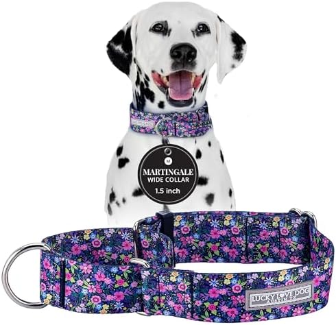 Lucky Love Dog Wide Martingale Dog Collar - No-Slip, Durable, & Soft Webbing 1.5 inch Martingale Collar for Dogs Male and Female Ideal for Training & Walking - Primrose, Medium