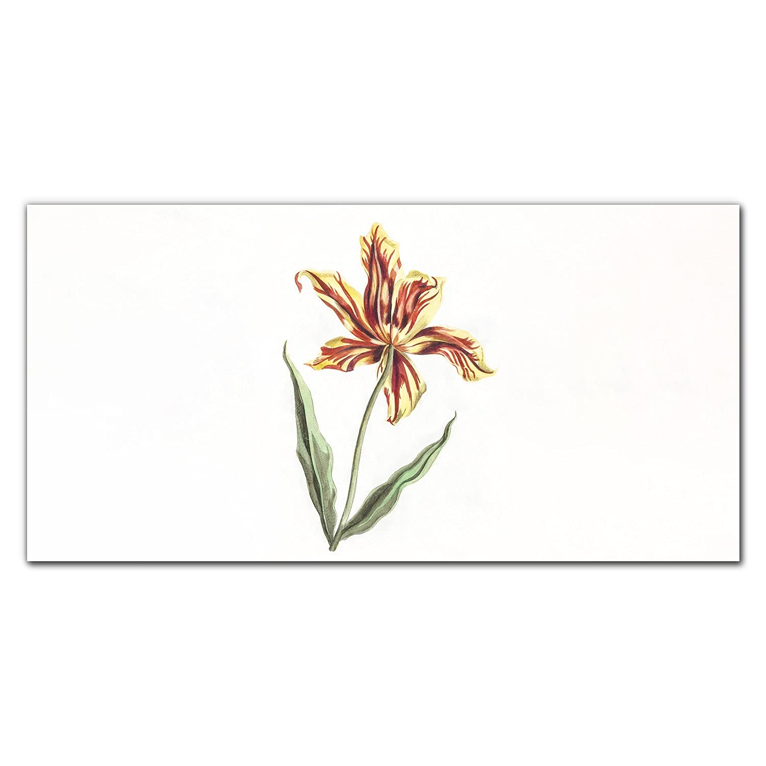 Crédence de cuisine en verre trempé 120x60 cm fleurs de plantes protection murale