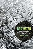Bad Water: Nature, Pollution, and Politics in Japan, 1870–1950 (Asia-Pacific: Culture, Politics, and Society)