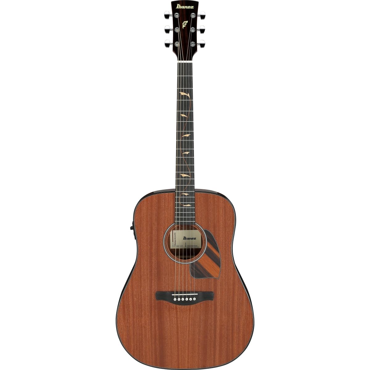 Amazon | Ibanez / PF34MHE-NT (Natural High Gloss) アイバニーズ