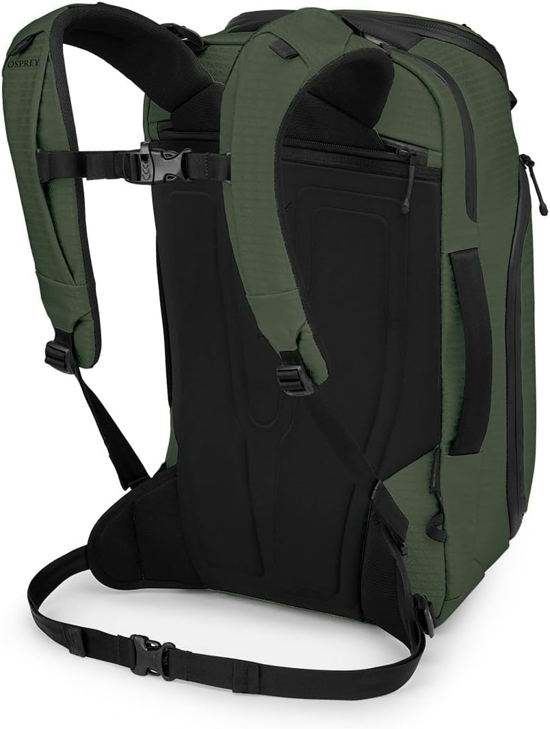 Osprey Archeon 30L Backpacking Backpack for Men and Women, Scenic Valley