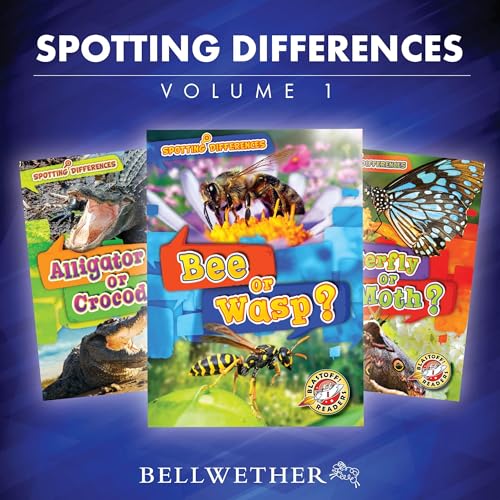 Spotting Differences: Volume 1 (By Various) episode artwork