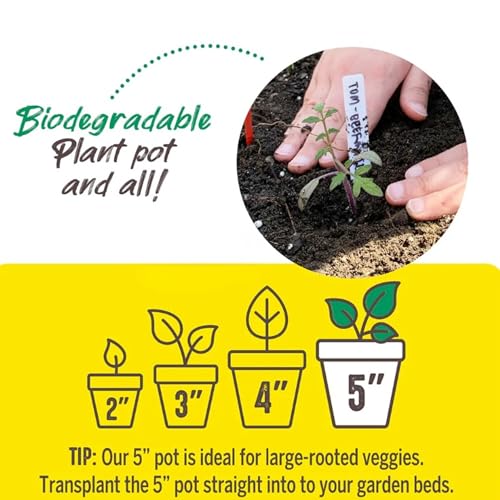 Image of Jiffy Biodegradable Peat Pots for Seedlings, 5 Inch, 24 Pack
