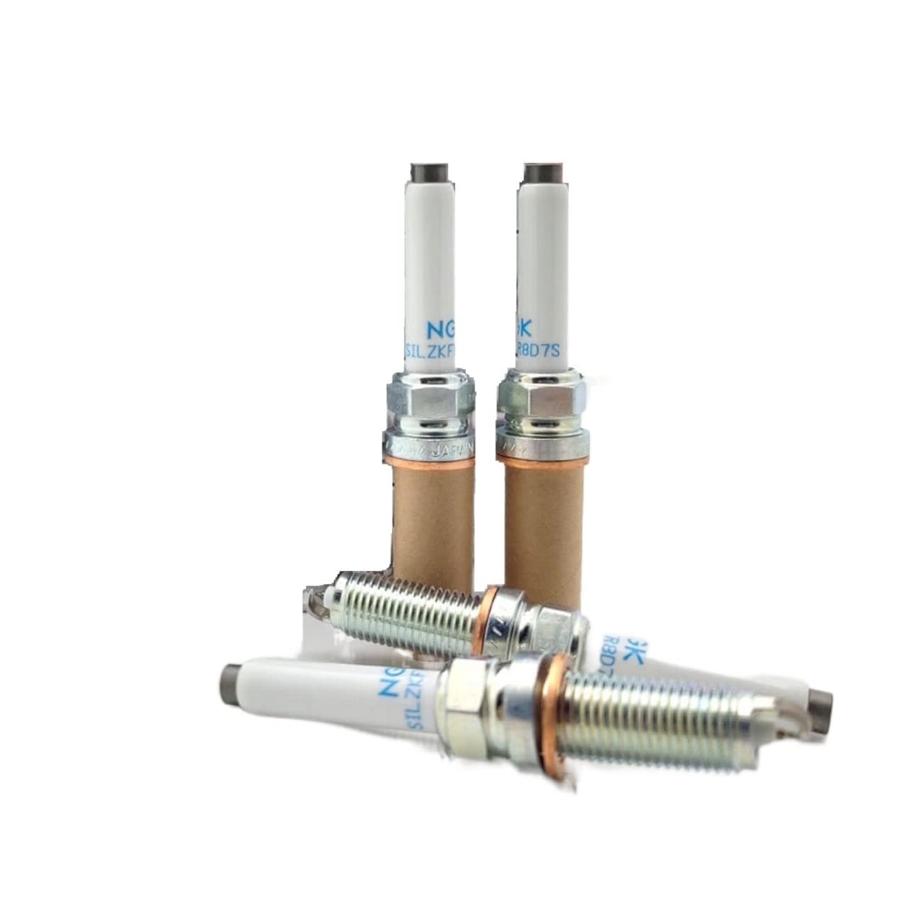 セオレム　15ポンド　プラグ無し ゼクロムex【SAR】{169/086} [SV11B] Zekrom ex - 169/086