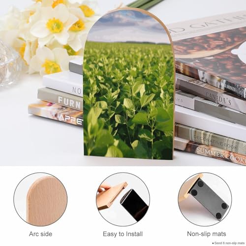 Sujetalibros resistente de madera con base de goma para sujetar enciclopedias 5