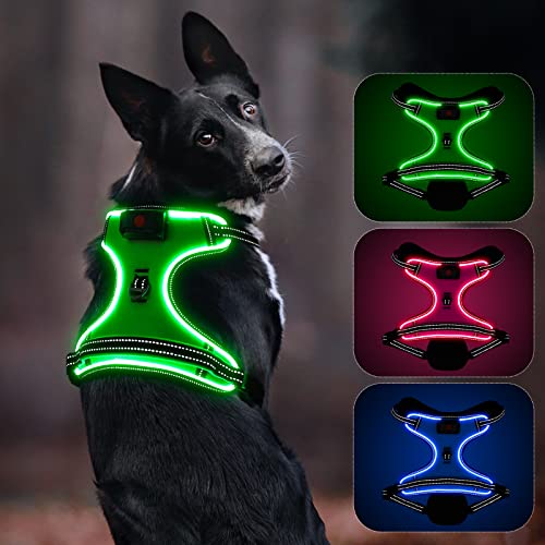 LED Hundegeschirr Für Kleine Hunde - Sicher Bei Nacht