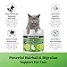 Hairball Support for Cats - 10 Super Ingredients for Furball Treatment Relief, Hairball Remedy, Digestive Support & Healthy Skin - No Fillers - Psyllium, Pumpkin, Omega-3s & More - 240 Scoops