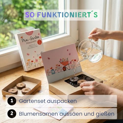 Geburtstagsblumenstrauß zum Aussäen, Mini Garten „Blütenpracht“ kreatives Geburtstagsgeschenk, nachhaltiges Pop-Up Garten Set mit Blumen Saatgut, Erde & Dekofiguren, liebevoll gefertigt in Deutschland