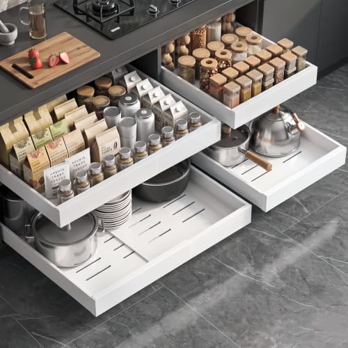 Seinloes 4 Pack Pull Out Organizer