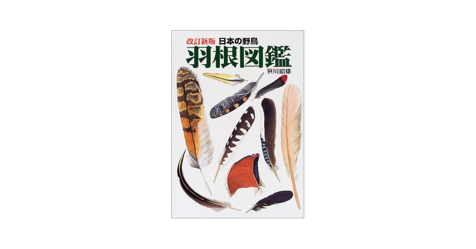 羽根図鑑 : 日本の野鳥 Amazon.co.jp: 決定版 日本の野鳥「羽根」図鑑 : 昭雄, 笹川