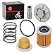 Oil Drain Plug & OIL FILTER + OIL STRAINER + Spring For YAMAHA Raptor 350 Warrior 350 Big Bear 350 400 Wolverine 350 Moto 4 YFM350ER