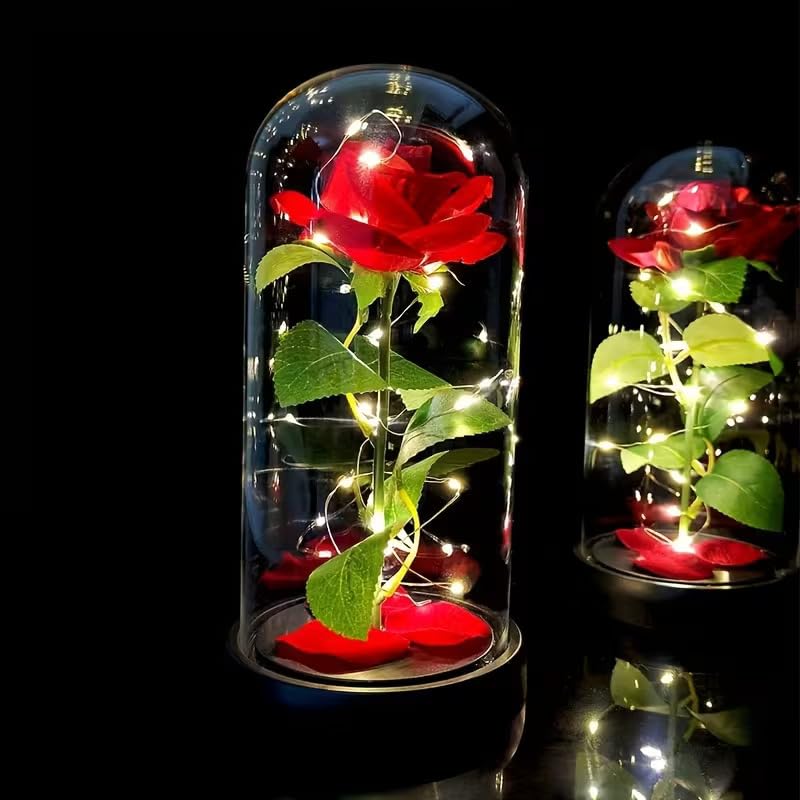 FWQPRA Rose Mothers Day Flower Gifts for Mom from Daughter Son, Birthday Gift for Women Grandma Wife Girlfriend Sister, Womens Gift for Teacher,Anniversary Christmas (Rose Dome) 2