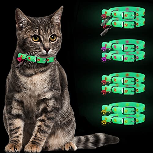 Pybider 8 Stück im Dunkeln leuchtende Katzenhalsbänder mit Glöckchen, verstellbare Kätzchenhalsbänder, leuchtende Katzenhalsbänder mit 2 ID-Tags, geeignet für Mädchen, Jungen, Katzen und Welpen Cover