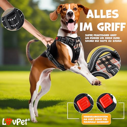 LOVPET® Hundegeschirr ohne Zug & Würgen für kleine Hunde & Welpen atmungsaktiv & weich Brustgeschirr reflektierend | No-Pull-Geschirr inkl.Beutelrollen | Verstellbares Geschirr mit Griff Beige - L