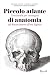Piccolo atlante di anatomia. Cronistoria per immagini dal Rinascimento all'era digitale. Ediz. illustrata (Rizzoli Illustrati) - Rifkin, Benjamin A. Ackerman, Michael J. Folkenberg, Judith