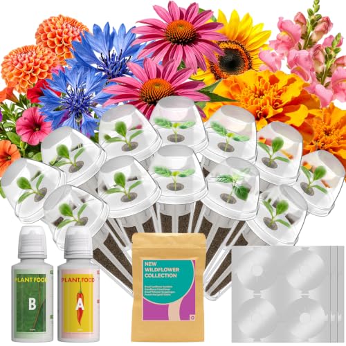 12 Pods Flower Seed Pods for AeroGarden, Ahopegarden, iDOO, MUFGA Hydroponics Growing System Indoor Gardening, 400+ Seeds, Dwarf Sunflower Bambino, French Marigold, Dahlia, Dwarf Petunia