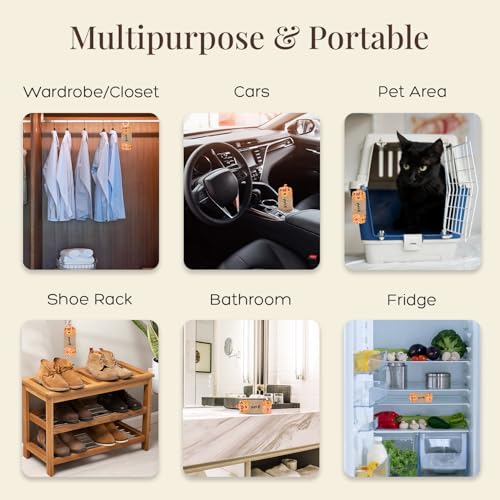 Image of Charcoal Air Purifier (Yellow Maze) - Non-Electric, Reusable Odor & Moisture Absorber with Coconut Shell Charcoal for Home, Car, Closet & Office. (400gm & 250g), Combo of 2