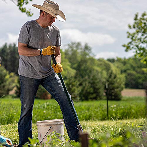 Wells Lamont Men’s Slip-On Hydrahyde Full Leather Work Gloves | Water-Resistant | Medium (1168M), Saddletan #TOP4