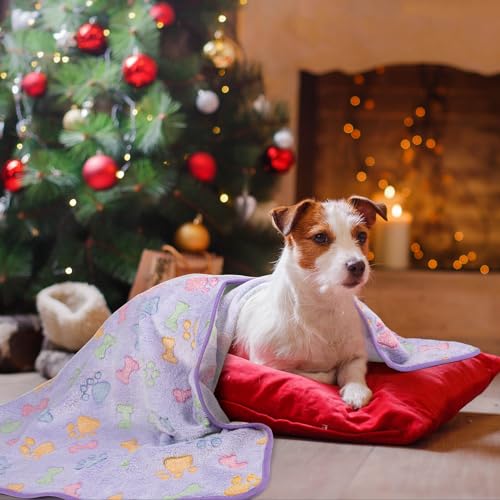 Dono 1 Pack 3 Dog Blankets, Soft Fluffy Fleece Pet Blanket Warm Sleep Mat Paw Print Design Puppy Kitten Throw Blanket Doggy Mat Blanket for Dogs - Image 7