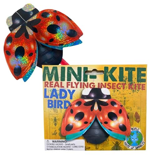 House of Marbles Mini Flying Insect Kites