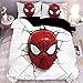 SSWJT Parure De Lit Marvel Comics Avengers, Iron Man, Spiderman, Hulk, Captain America Motif avec Housse De Couette Et Taie d'oreiller,Housse De Couette Enfant