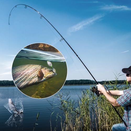 VEPEPE 25 Pcs Egg Shaped Sea Fishing Weights with Plastic Core, Drop Bass Weights Sinker Kit 8 Sizes, Casting Fishing Oval Sinkers,for Carp, River, Saltwater, Freshwater (25, 8 Sizes,Open Egg) (25) - Image 2