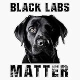 Black Labs Matter Vinyl Waterproof Sticker Decal Car Laptop Wall Window Bumper Sticker 5'