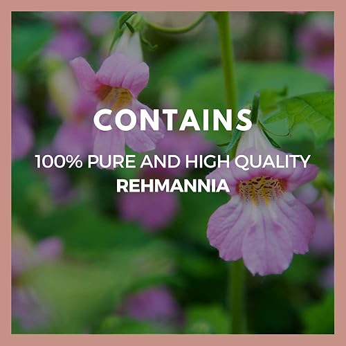 Miniatura 4 de Remedy's nutrition Raíz de Rehmannia - 1,000 mg, 60 cápsulas veganas Suplemento dietético a base de hierbas - Suministro para 2 meses