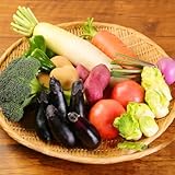 【定期便】年4回 季節のお野菜詰め合わせセット 定期便 春夏秋冬年4回 旬野菜 1回あたり10品 セット 詰め合わせ 旬 おまかせ やさい レシピ付き 高知県 室戸市