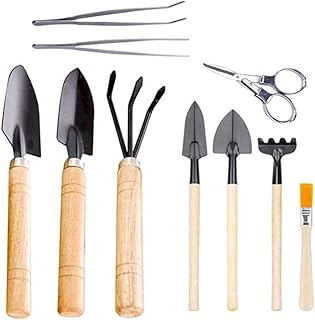 Wusteg 10 peças mini ferramentas bonsai com kit de ferramentas de jardinagem antiderrapante plantação de plantas suculentas de cactos conjunto de ferramentas para cuidados de fadas internas, vasos, cactos, planta de casa, ferramentas para bonsai, kit de bonsai