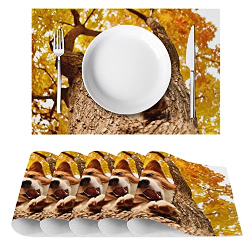 Set de table lavable pour protéger la table des rayures, motif corgi lot de 6 - 3