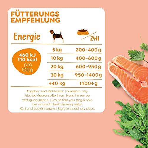 Hundefutter nass Adult mit Lachs, 6x 800g – reichhaltige Ernährung für Hunde