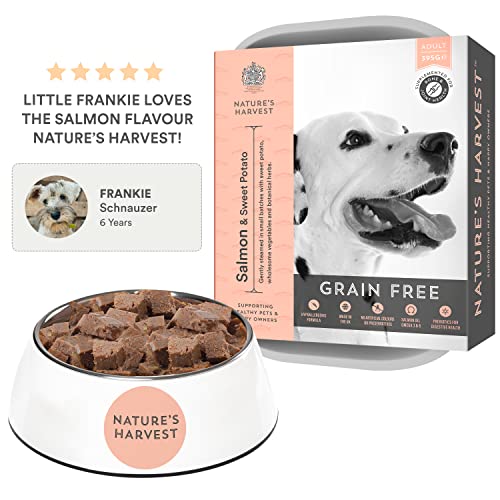 Natures Harvest Complete Hypoallergenic Dog Food â Lachs- und Süßkartoffel-Freefoods©©für wählerische Esser und Hunde mit empfindlichen Mägen | 10x395g | Allergiefreies Hundefutter
