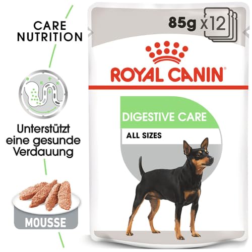 ROYAL CANIN Digestive Care Mousse für Hunde, Hundefeuchtnahrung – 12 x 85g