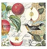 Michel Design Works 20-Count 3-Ply Paper Cocktail Napkins, Sweet Apple