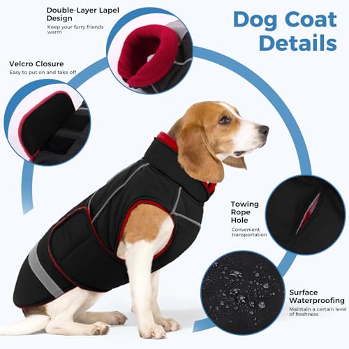 CITÉTOILE Hundejacke mit Klettverschluss – Reflektierend, Führungsöse & wärmender Kragen – Leichtes Wintercoat mit weicher Füllung, Schwarz, L